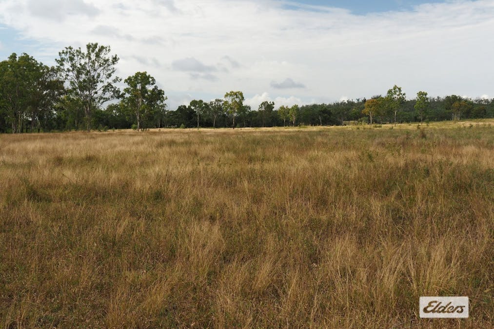 29 Sandringham Road, Sandringham, QLD, 4701 - Image 4