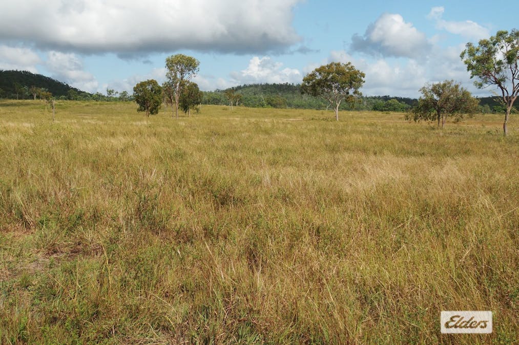 29 Sandringham Road, Sandringham, QLD, 4701 - Image 7