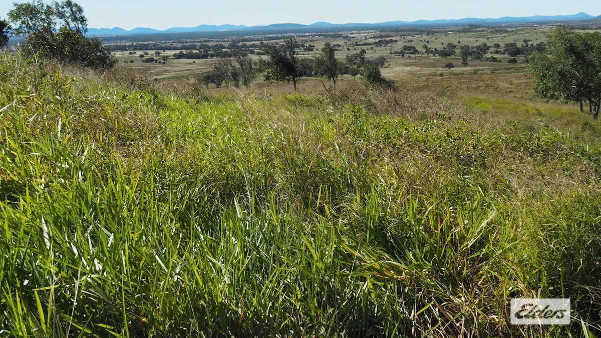 29 Milman Road, Milman, QLD, 4702 - Image 9