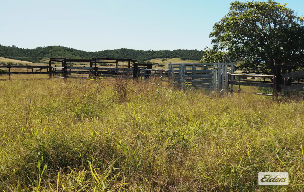 29 Milman Road, Milman, QLD, 4702 - Image 14
