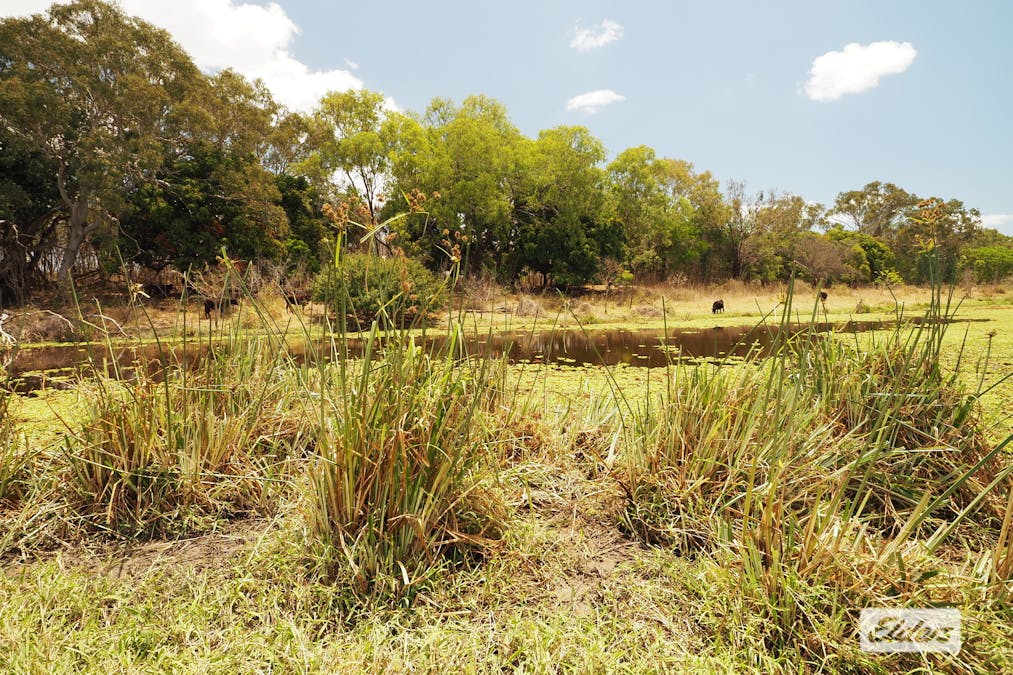222 Edmistone Road, Pink Lily, QLD, 4702 - Image 4