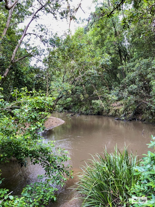 684 Lower Kangaroo Creek Road, Coutts Crossing, NSW, 2460 - Image 32
