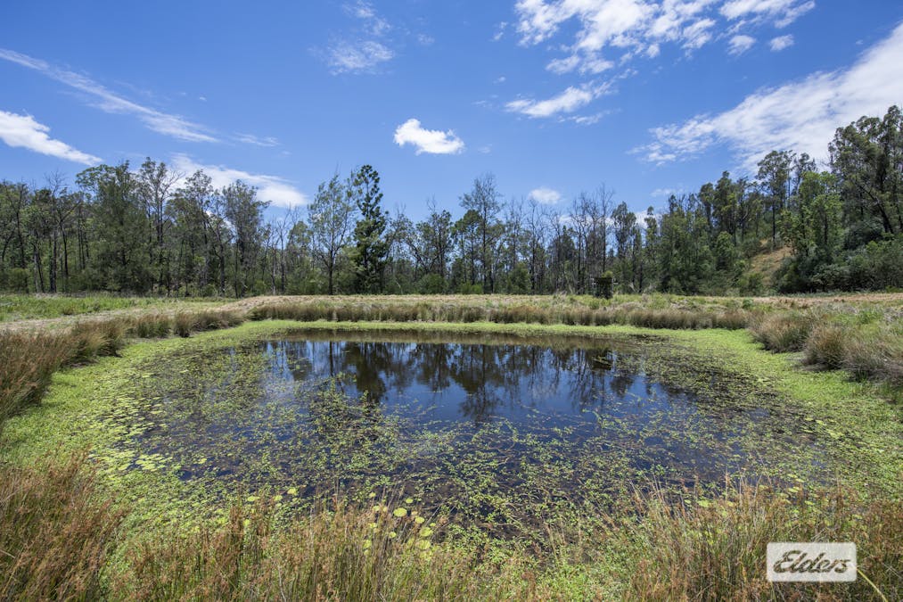 100 Frickers Road, Nymboida, NSW, 2460 - Image 1
