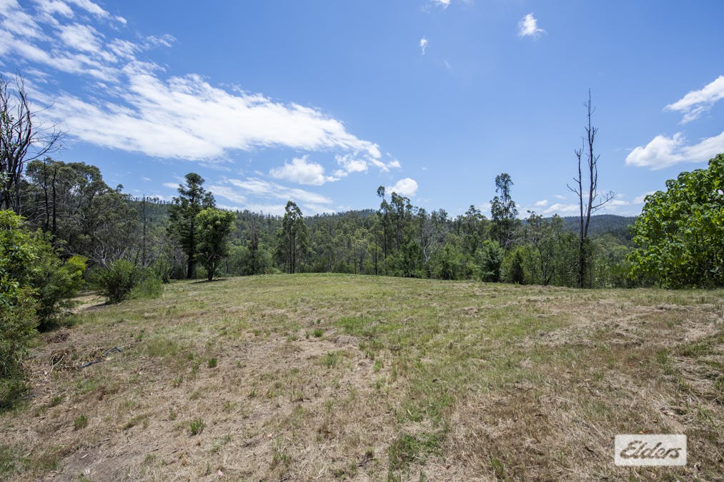 100 Frickers Road, Nymboida, NSW, 2460 - Image 4