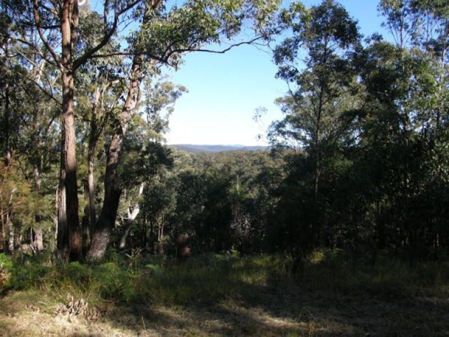 2533 Blacksmith Shop Road, Newton Boyd, NSW, 2370 - Image 1