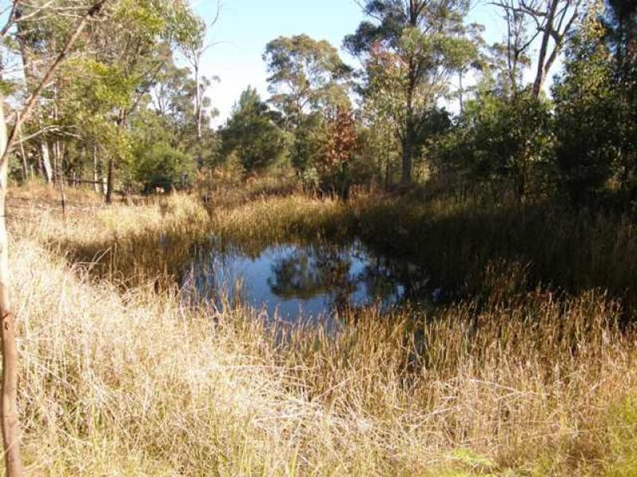 2533 Blacksmith Shop Road, Newton Boyd, NSW, 2370 - Image 2