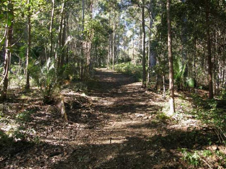 2533 Blacksmith Shop Road, Newton Boyd, NSW, 2370 - Image 3