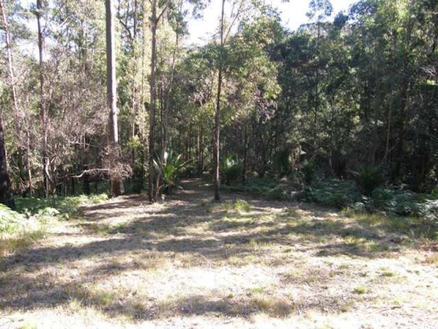 2533 Blacksmith Shop Road, Newton Boyd, NSW, 2370 - Image 4