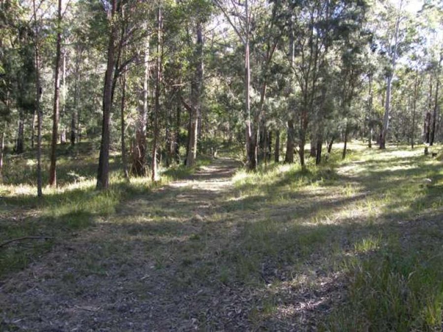 2533 Blacksmith Shop Road, Newton Boyd, NSW, 2370 - Image 8
