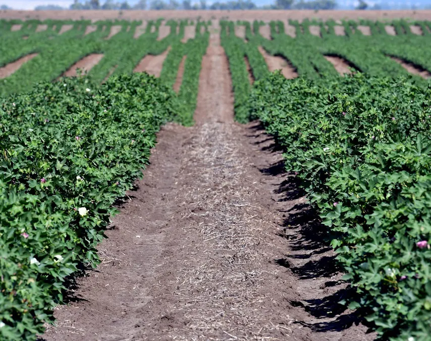 South Ghoolendaadi , Gunnedah, NSW, 2380 - Image 6