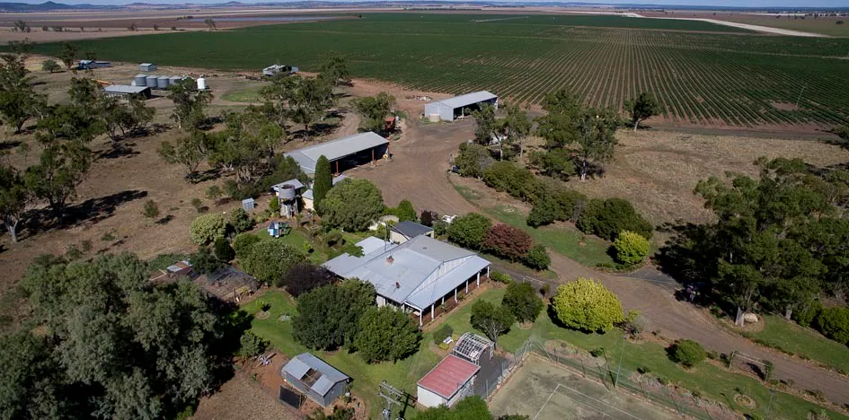 South Ghoolendaadi , Gunnedah, NSW, 2380 - Image 14