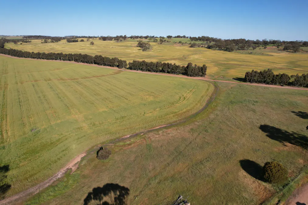 1325/Hassell Road, East Pingelly, WA, 6308 - Image 2