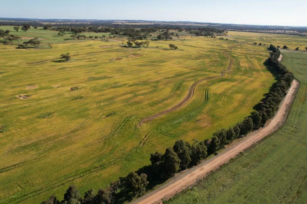 1325/Hassell Road, East Pingelly, WA, 6308 - Image 3