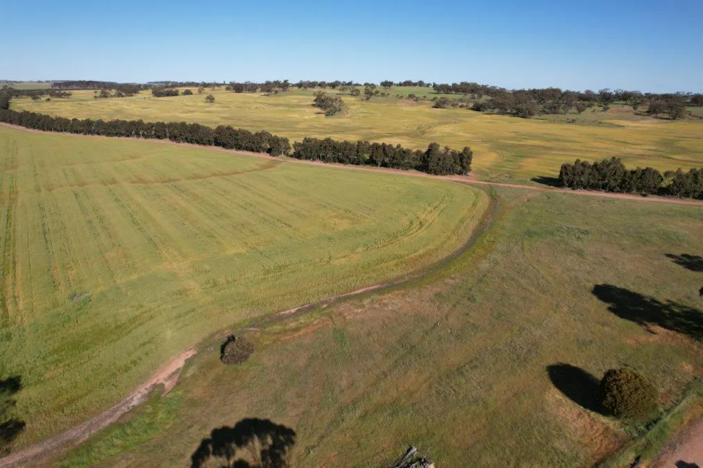 1325/Hassell Road, East Pingelly, WA, 6308 - Image 4