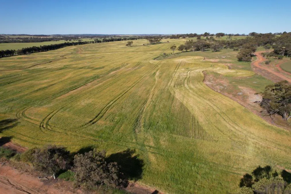 1325/Hassell Road, East Pingelly, WA, 6308 - Image 5