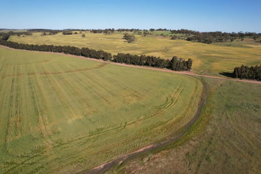 1325/Hassell Road, East Pingelly, WA, 6308 - Image 6