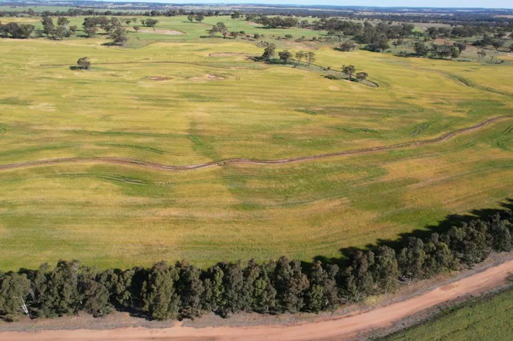 1325/Hassell Road, East Pingelly, WA, 6308 - Image 7