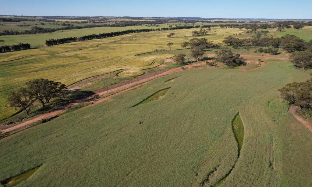 1325/Hassell Road, East Pingelly, WA, 6308 - Image 1