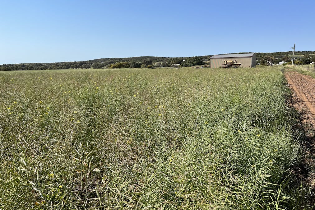 Lot 4 Brand Highway, Greenough, WA, 6532 - Image 5