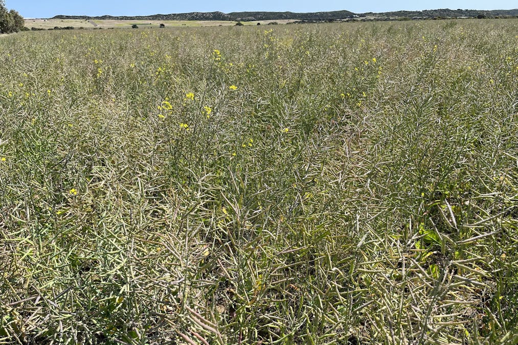 Lot 4 Brand Highway, Greenough, WA, 6532 - Image 9