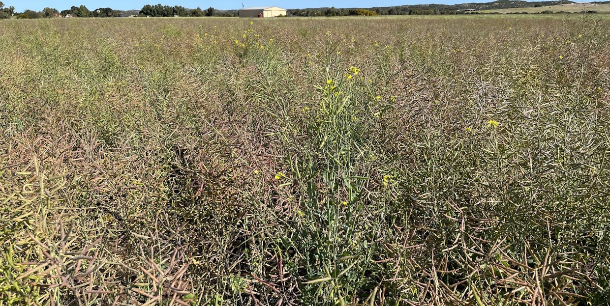 Lot 4 Brand Highway, Greenough, WA, 6532 - Image 1