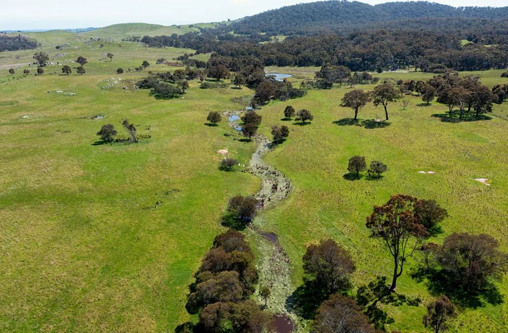 325 Prendergasts Road, Pastoria, VIC, 3444 - Image 5
