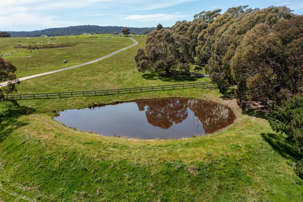 325 Prendergasts Road, Pastoria, VIC, 3444 - Image 4