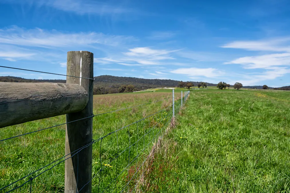 325 Prendergasts Road, Pastoria, VIC, 3444 - Image 25