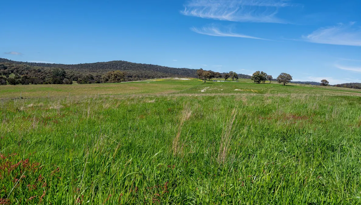 325 Prendergasts Road, Pastoria, VIC, 3444 - Image 30