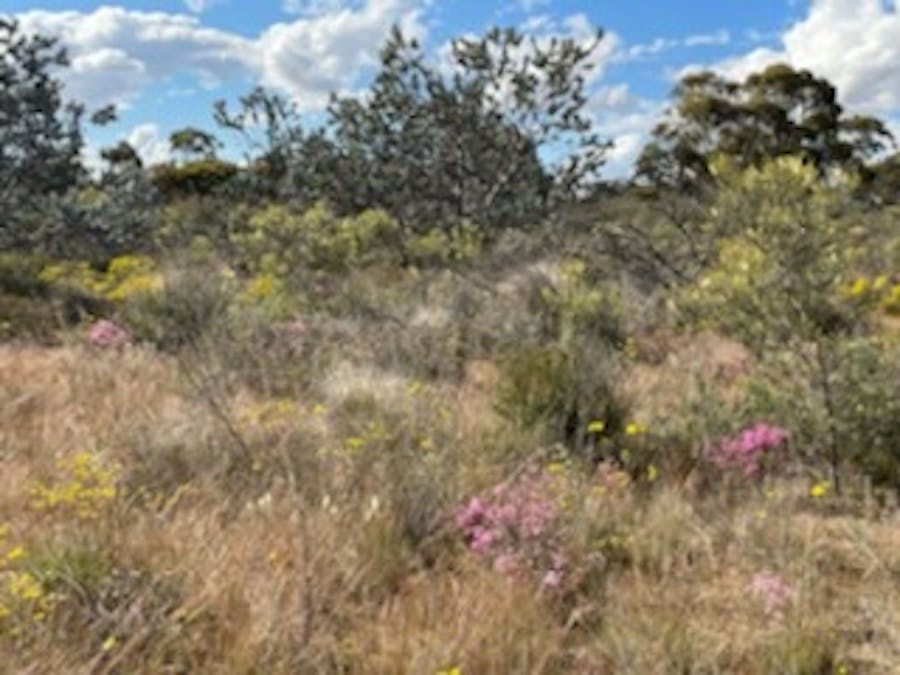 20072/Minchin South Road, Balkuling, WA, 6383 - Image 8