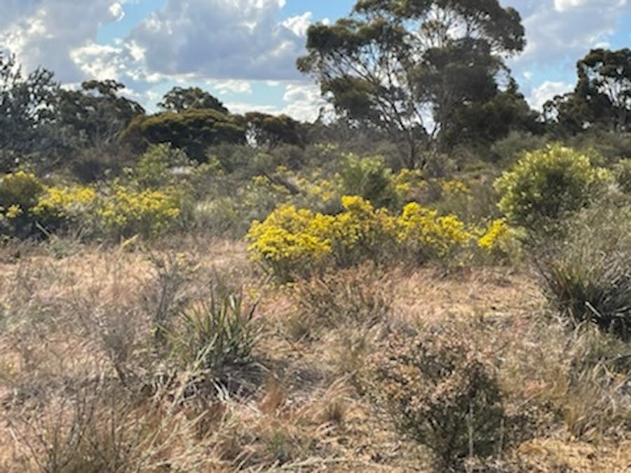 20072/Minchin South Road, Balkuling, WA, 6383 - Image 13