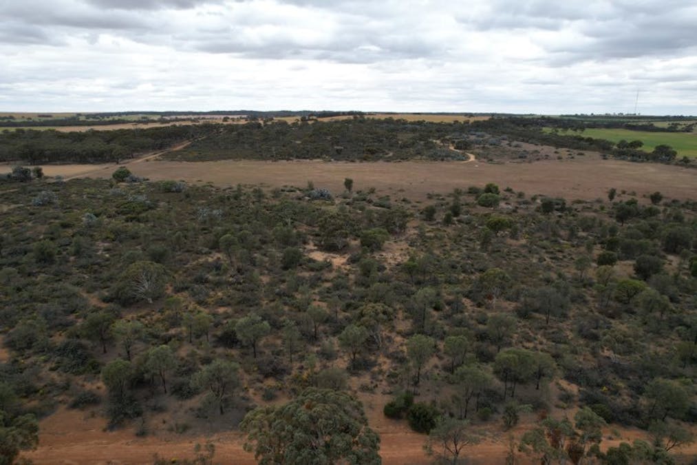 20072/Minchin South Road, Balkuling, WA, 6383 - Image 16