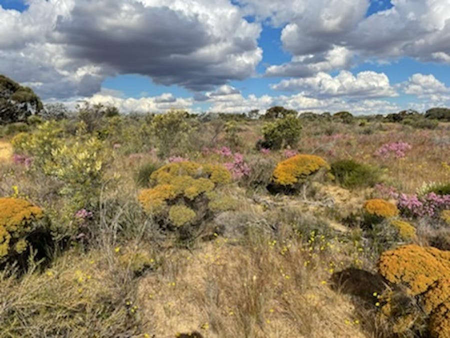 20072/Minchin South Road, Balkuling, WA, 6383 - Image 18