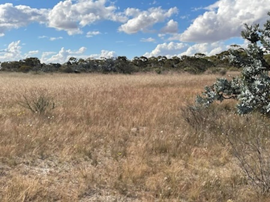 20072/Minchin South Road, Balkuling, WA, 6383 - Image 19