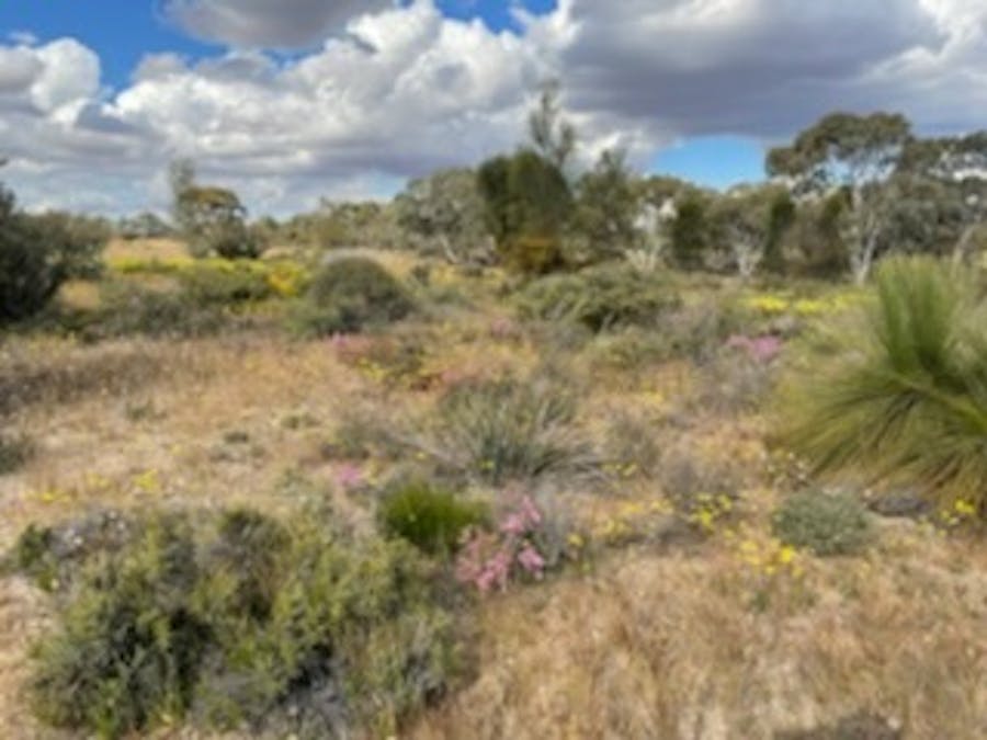 20072/Minchin South Road, Balkuling, WA, 6383 - Image 20