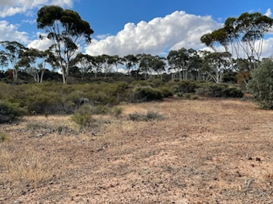 20072/Minchin South Road, Balkuling, WA, 6383 - Image 23