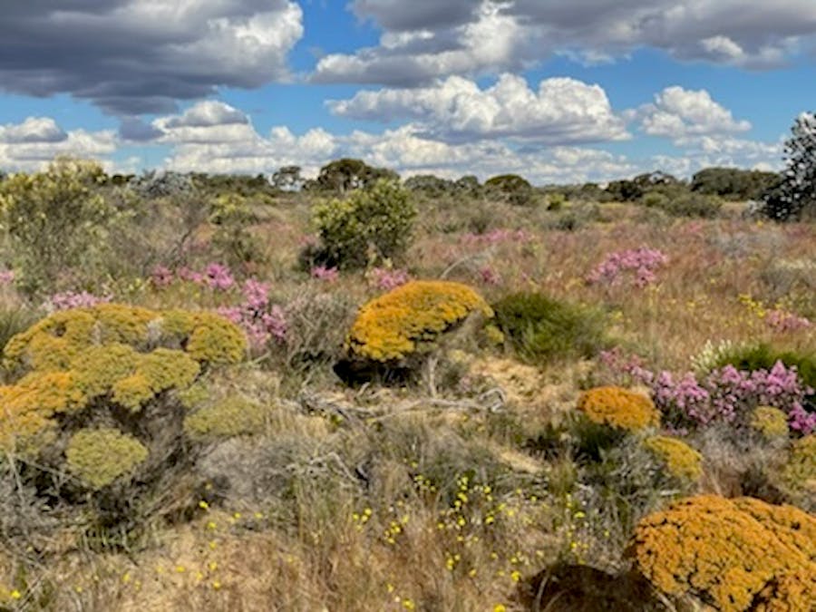 20072/Minchin South Road, Balkuling, WA, 6383 - Image 24