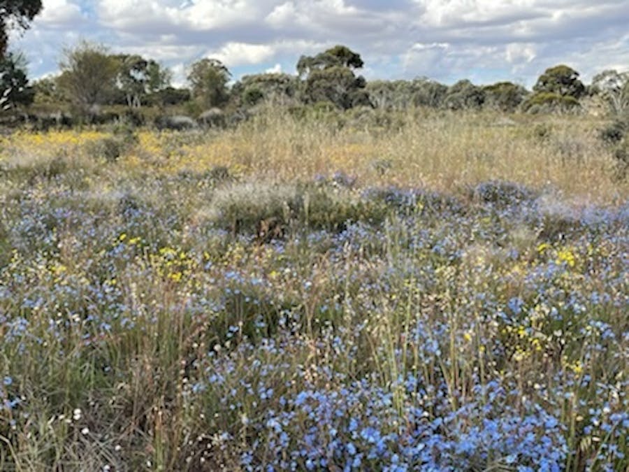 20072/Minchin South Road, Balkuling, WA, 6383 - Image 2