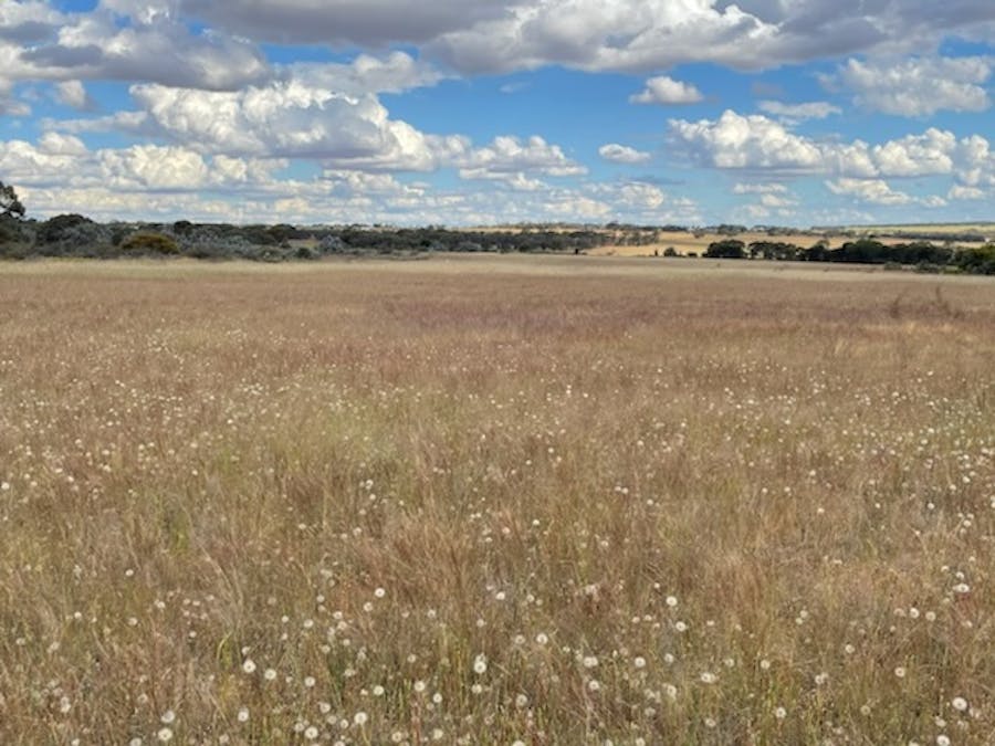 20072/Minchin South Road, Balkuling, WA, 6383 - Image 25