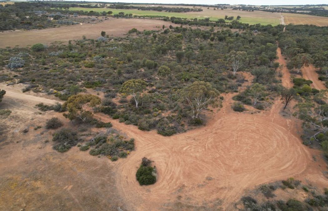 20072/Minchin South Road, Balkuling, WA, 6383 - Image 3