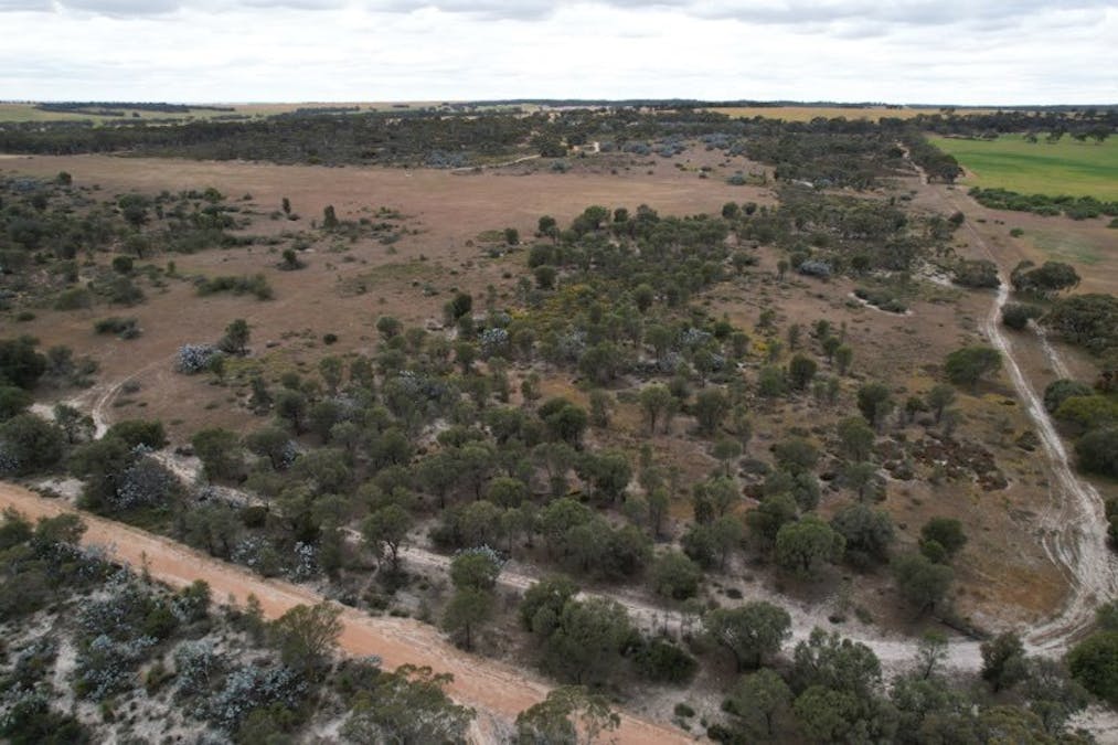 20072/Minchin South Road, Balkuling, WA, 6383 - Image 27