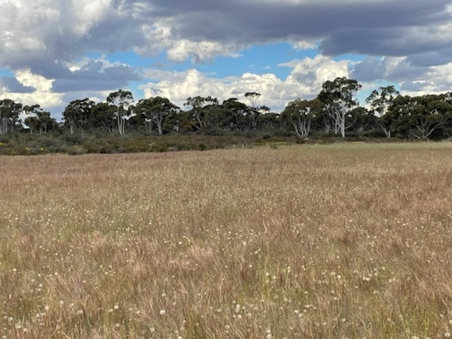20072/Minchin South Road, Balkuling, WA, 6383 - Image 28