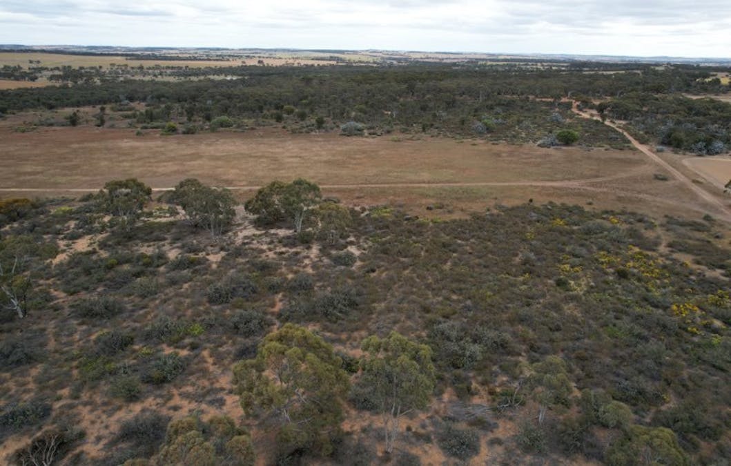 20072/Minchin South Road, Balkuling, WA, 6383 - Image 29