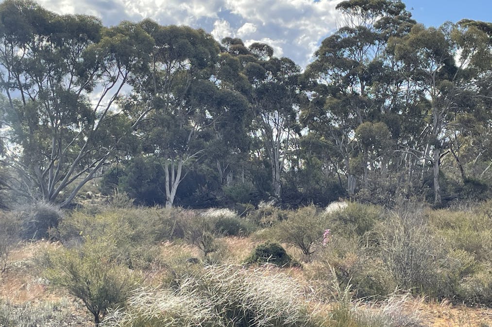 20072/Minchin South Road, Balkuling, WA, 6383 - Image 33
