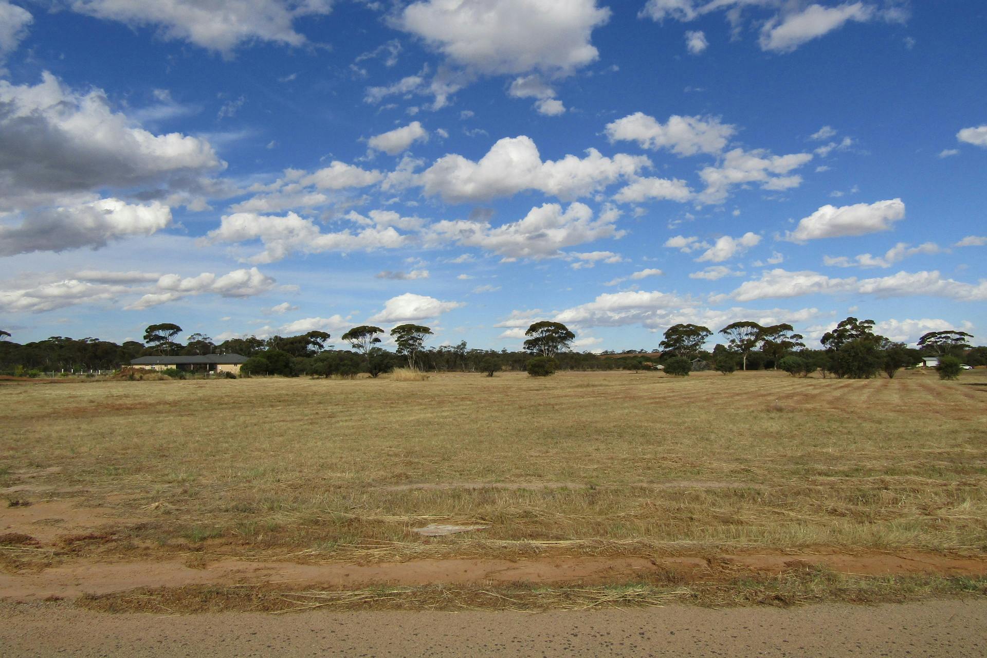 44 Whitfield Way, Merredin, WA, 6415 Sold Elders Real Estate