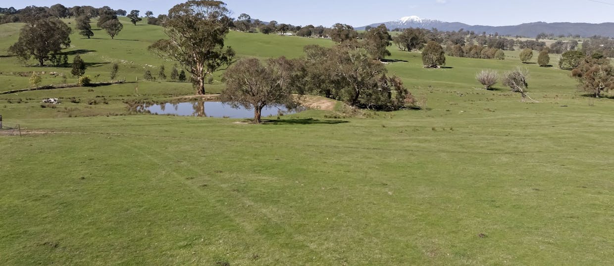 150 Gonzaga Lane, Merrijig, VIC, 3723 - Image 4