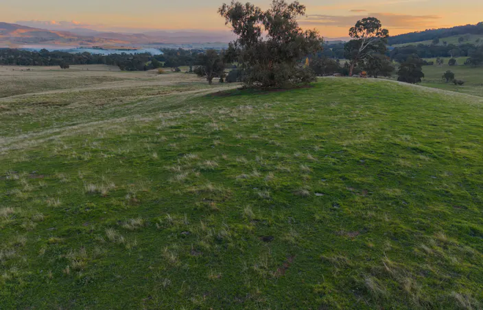 150 Gonzaga Lane, Merrijig, VIC, 3723 - Image 1
