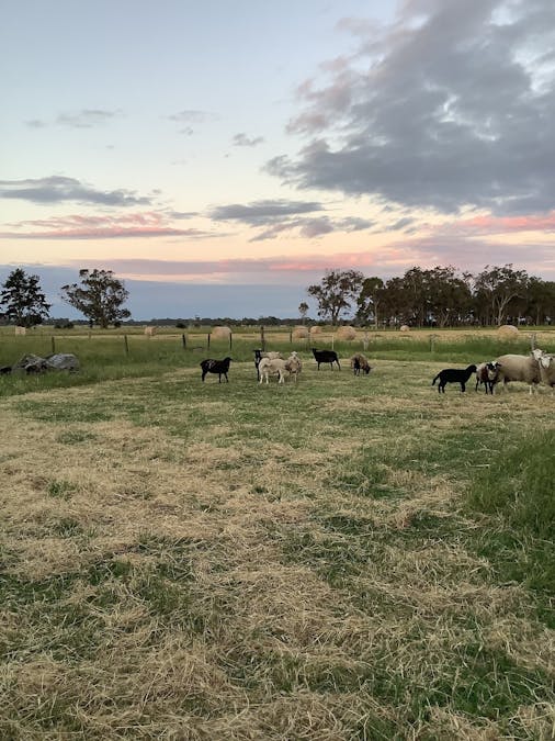 4778 Jalbarragup Road, Acton Park, WA, 6280 Sold Elders Real Estate