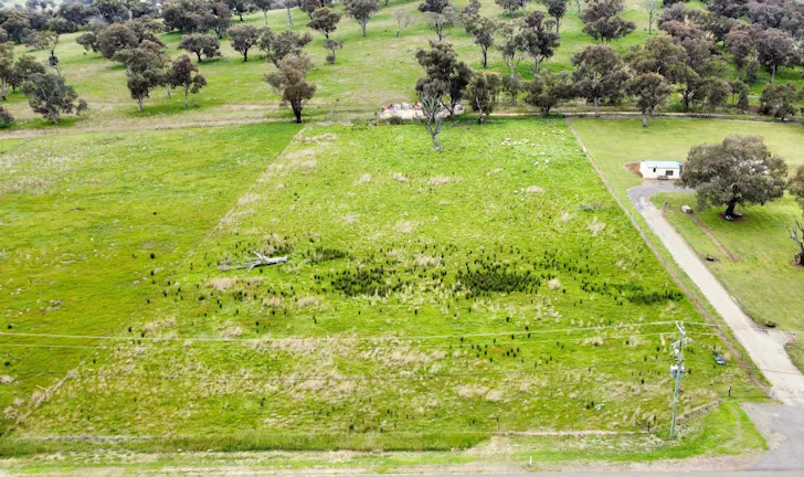 16 Dowling Drive, Murringo, NSW, 2586 - Image 1