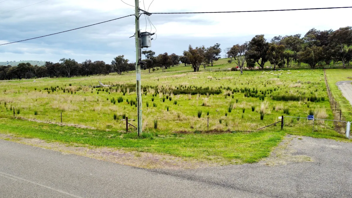 16 Dowling Drive, Murringo, NSW, 2586 - Image 2